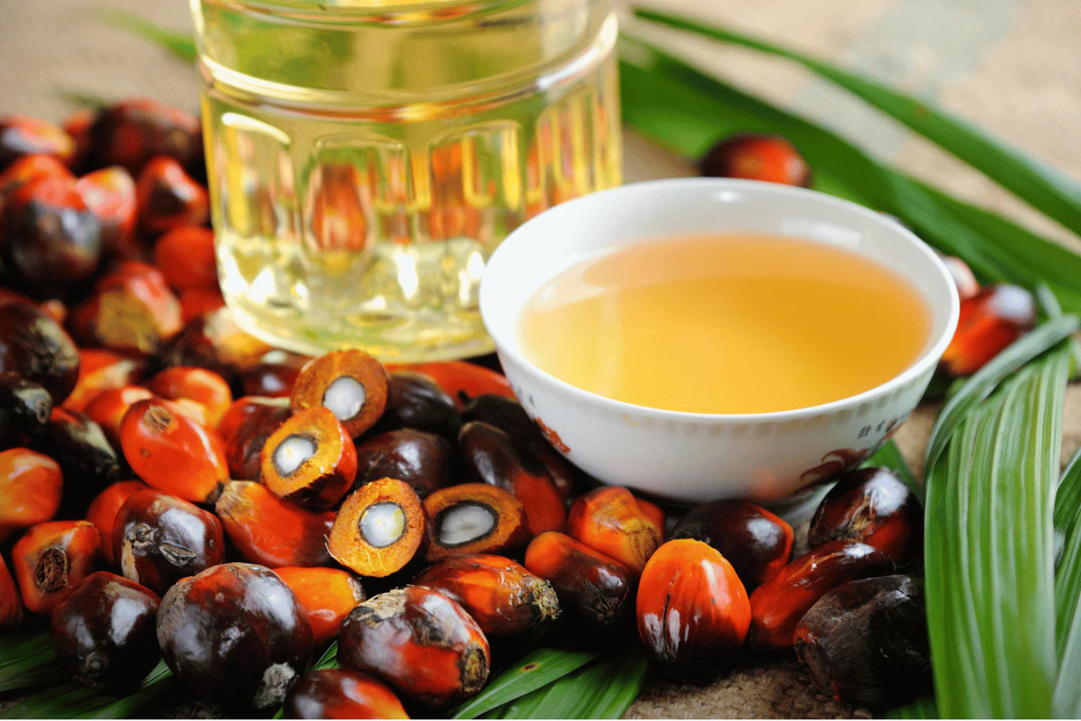 What is batana oil? Benefits, evidence, and how to use it for hair - SELFWISE